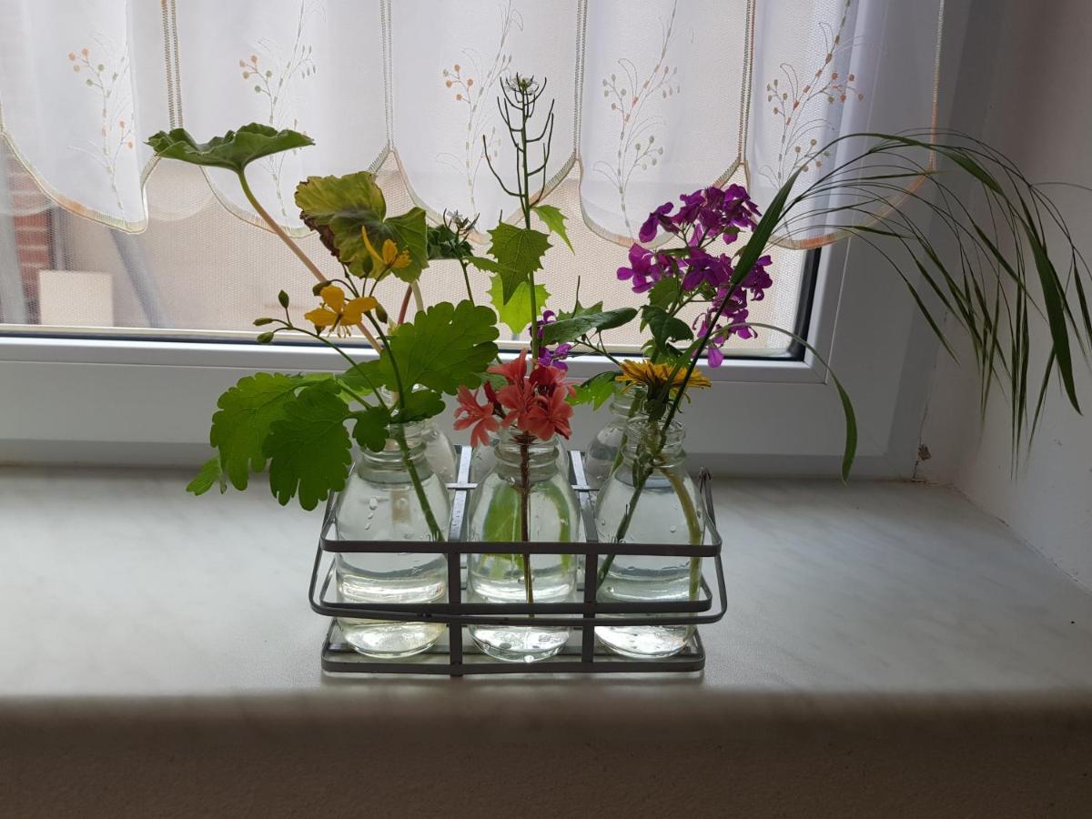 Ferienwohnung Burgenblick Тале Екстериор снимка